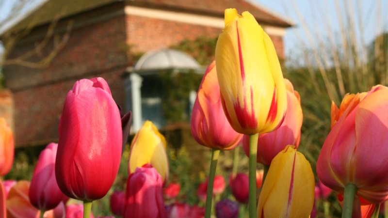 Gunby Hall and Gardens